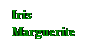 Text Box: Iris
Marguerite

